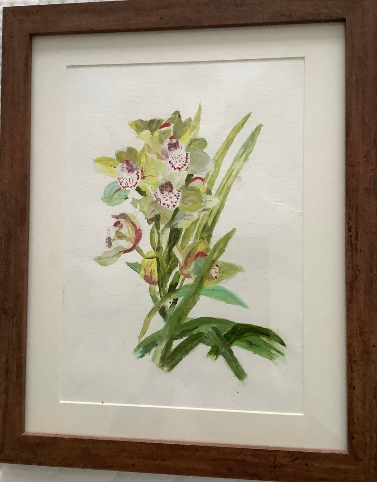 Orchid