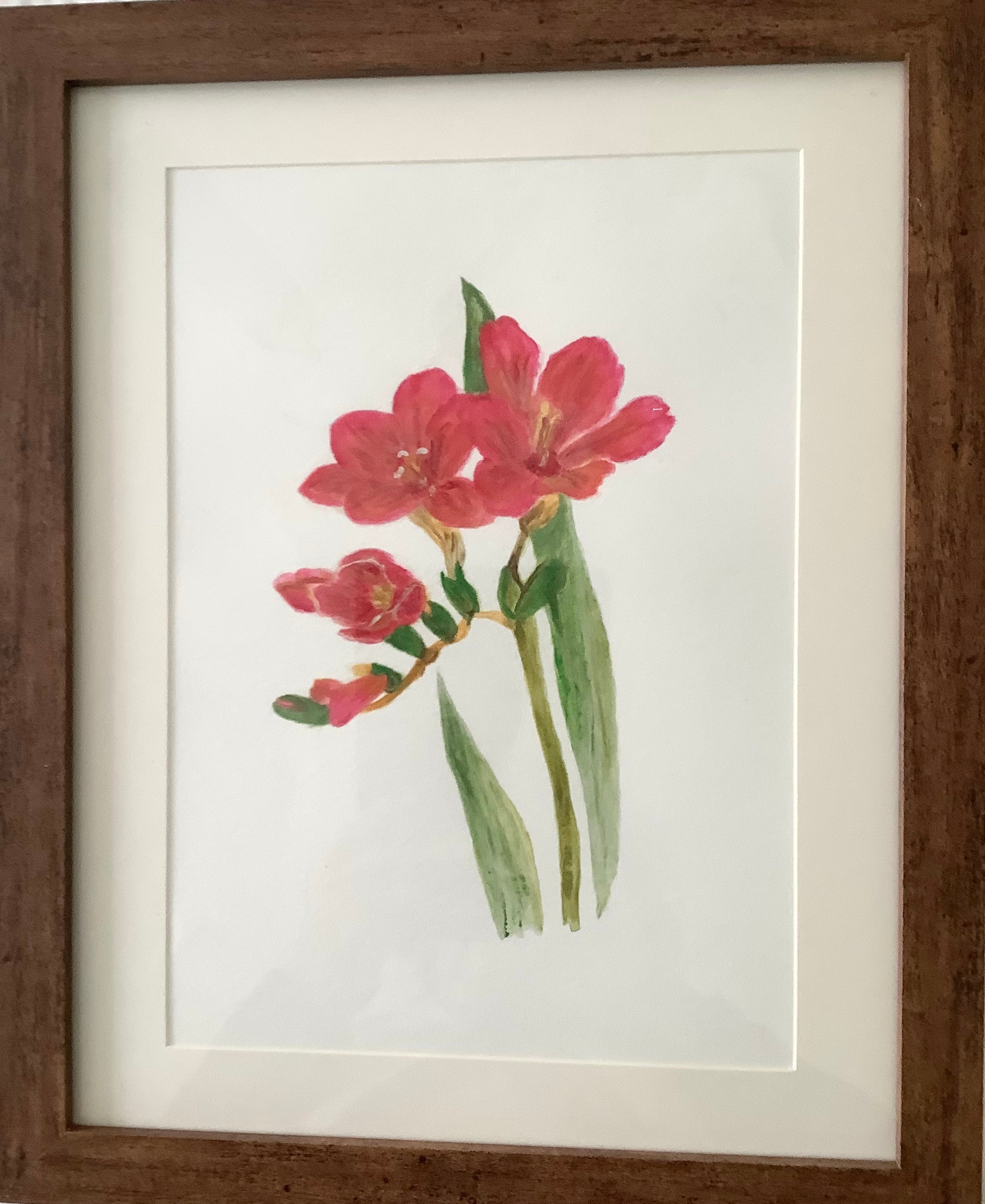Freesia