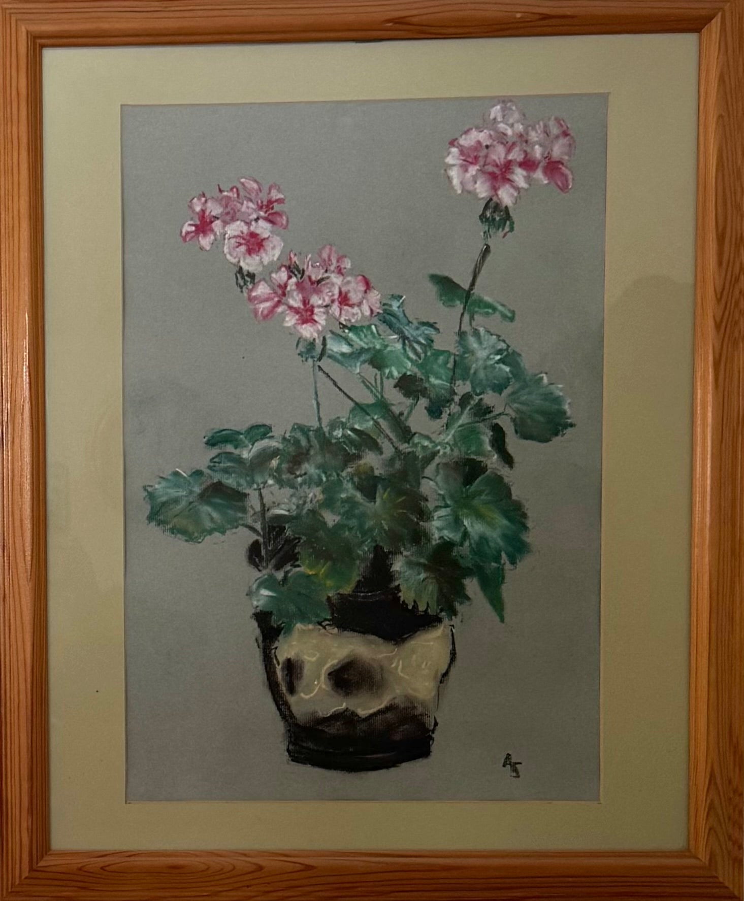 Geraniums