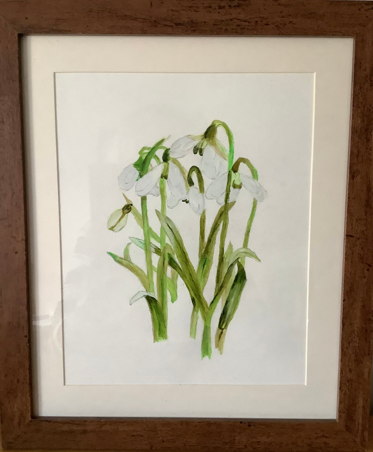Snowdrop