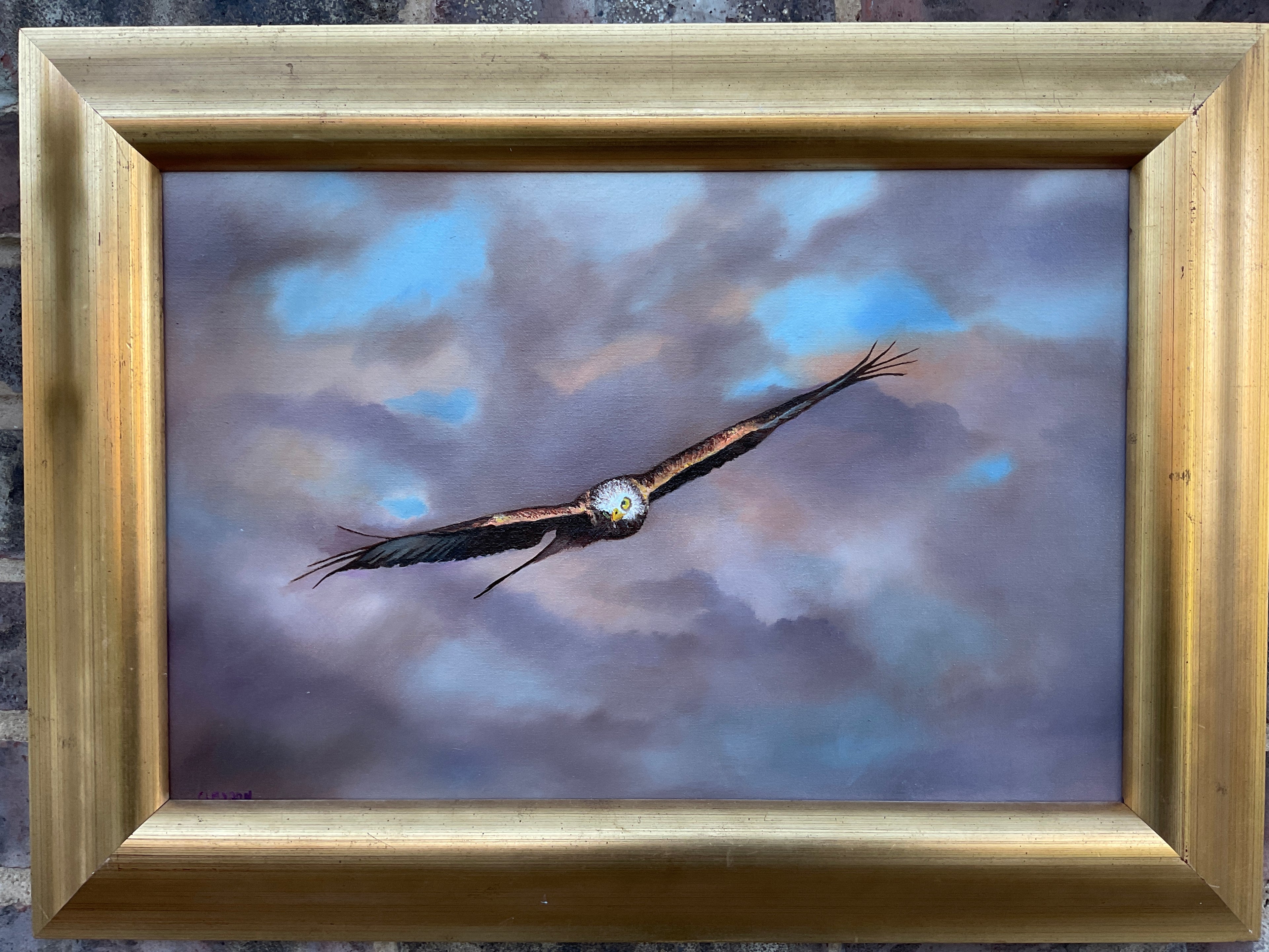 Kite in flight
