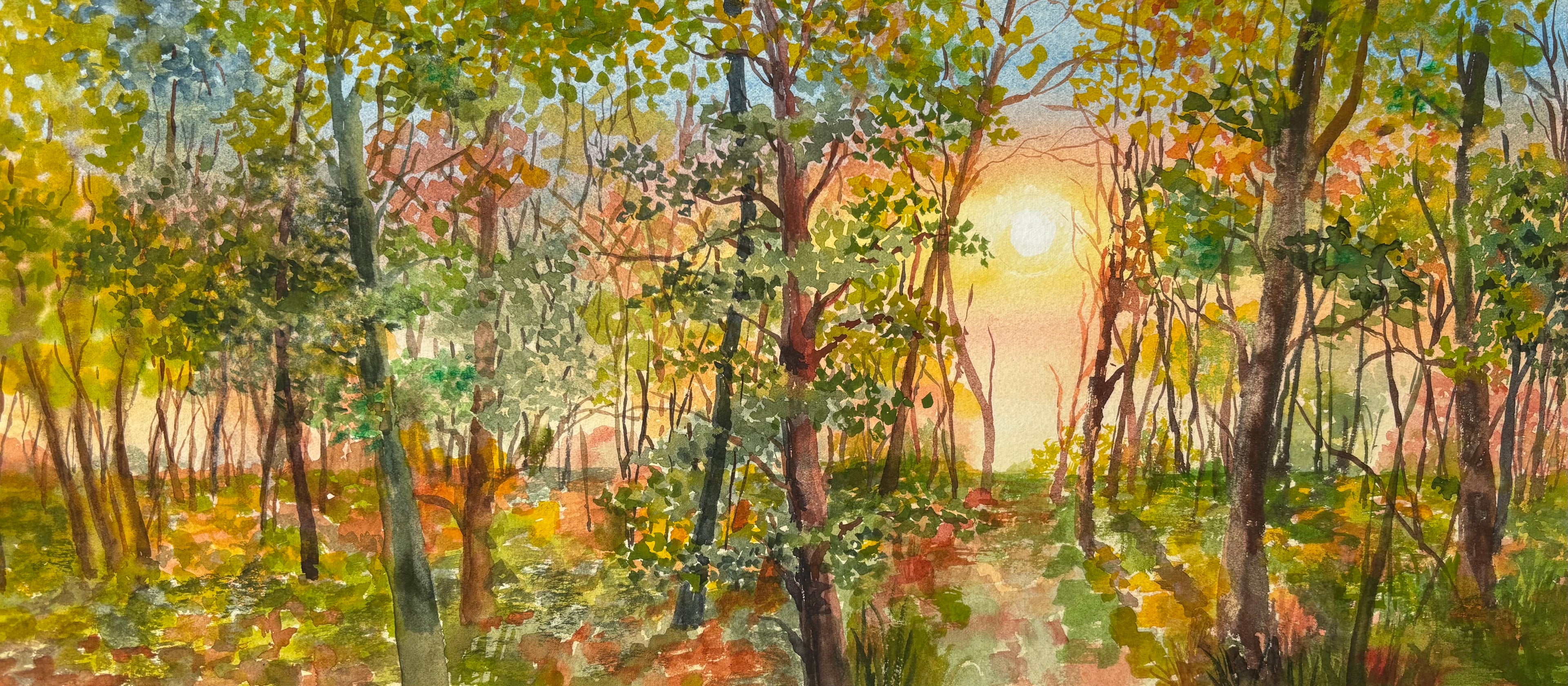 DAWN IN THE WOODS