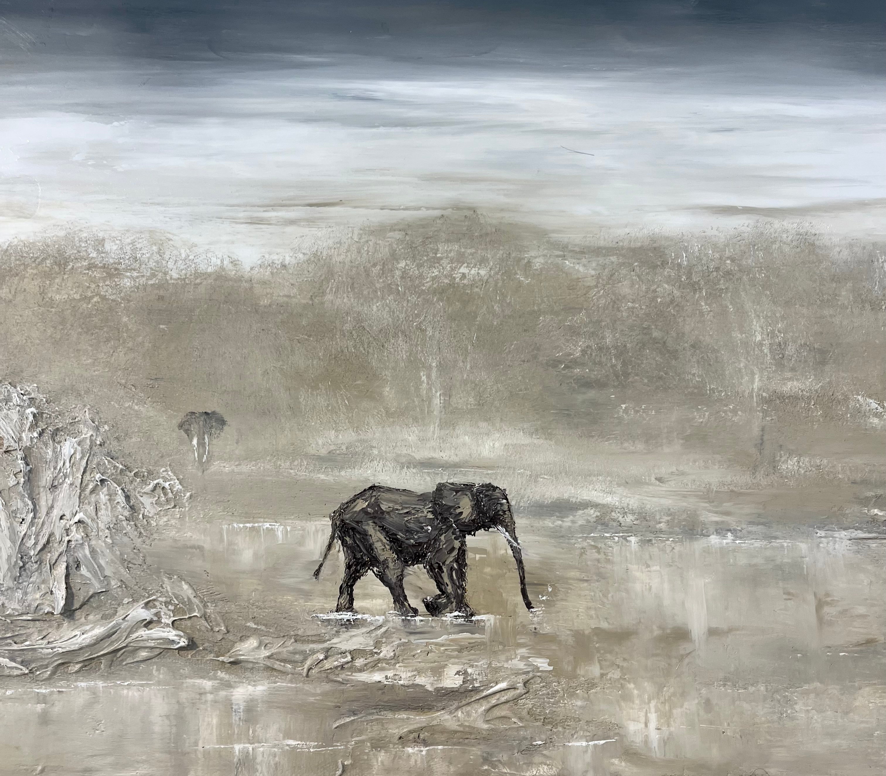 Shadows in the Serengeti