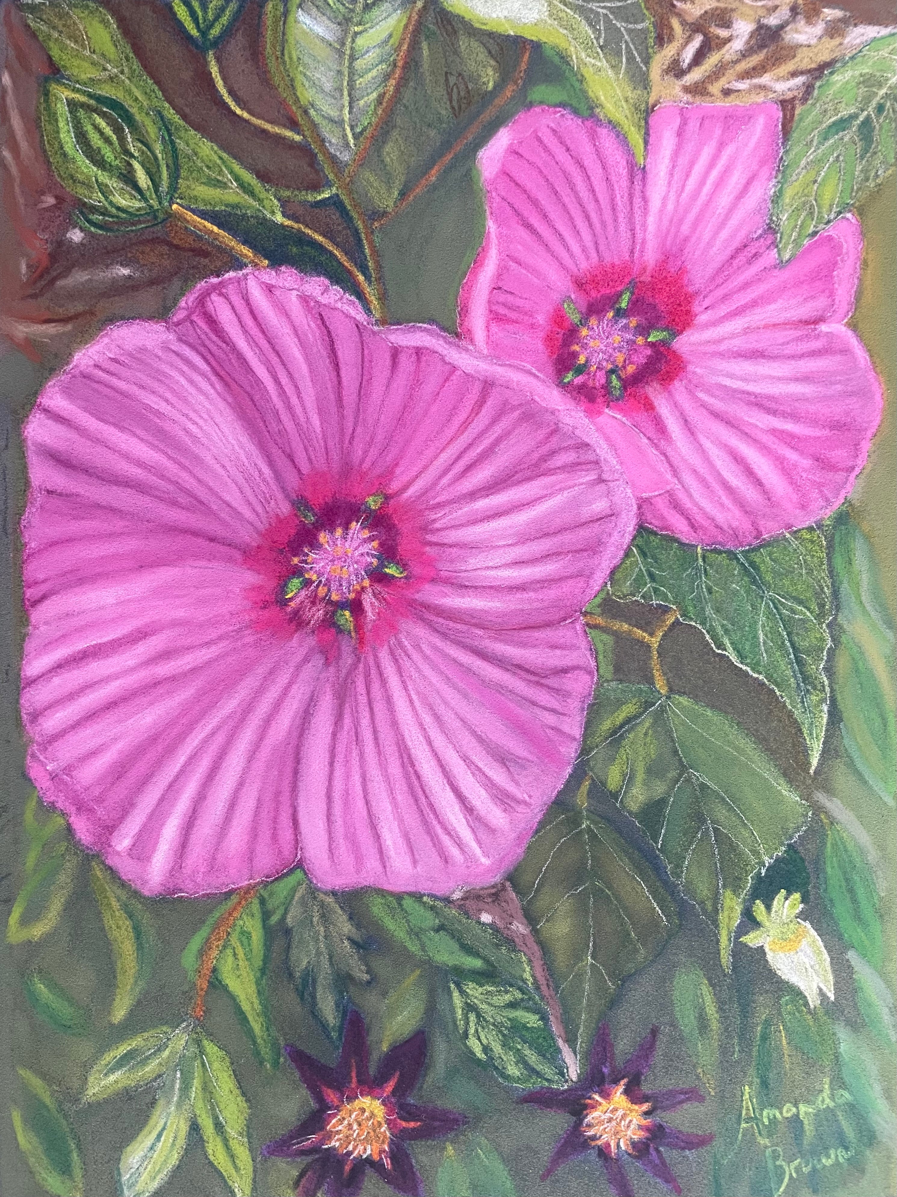 Rose Mallow Flowers