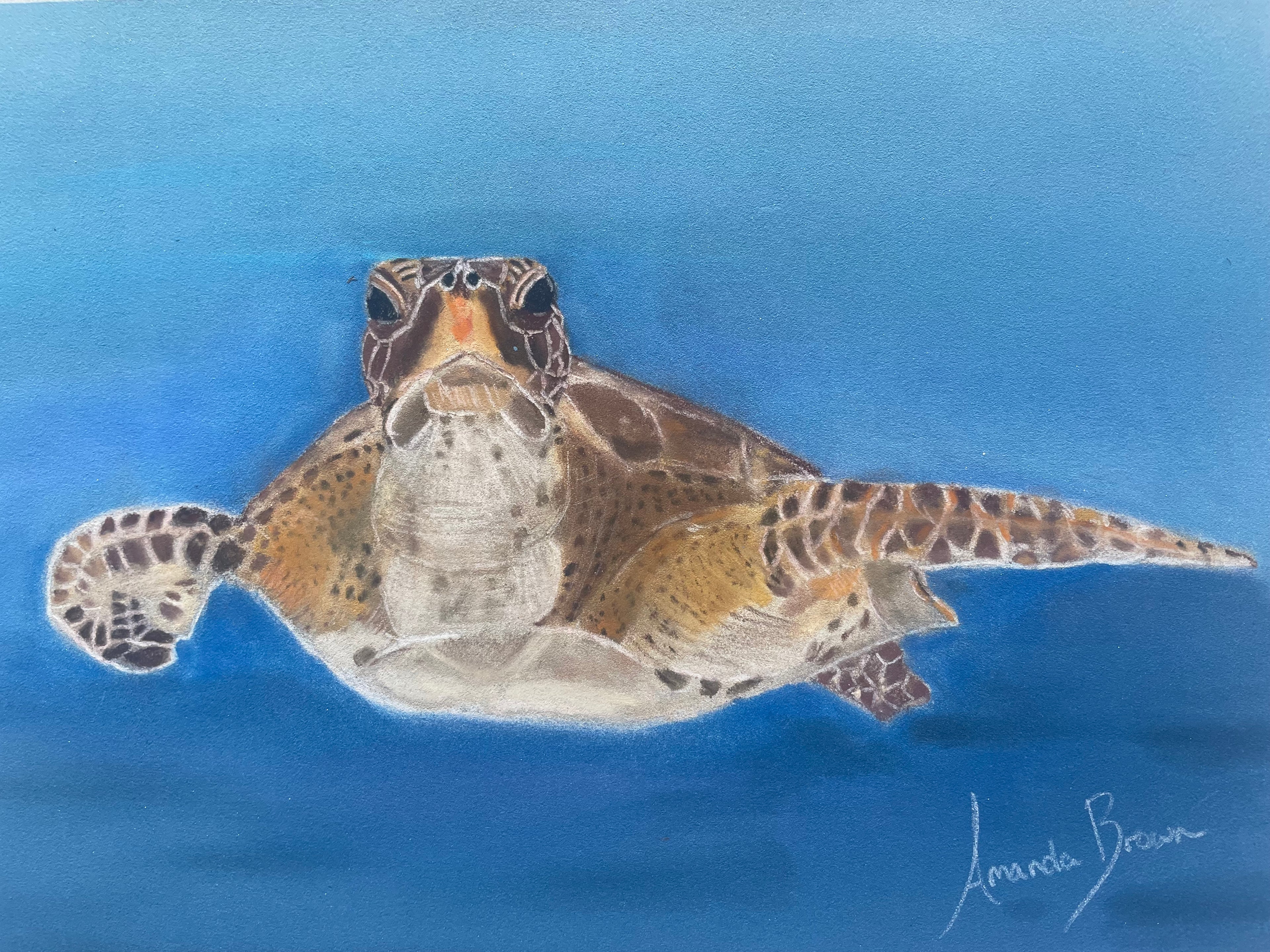 A Turtle Swimming in the Ocean