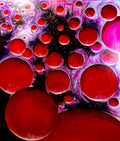 The universe of passion