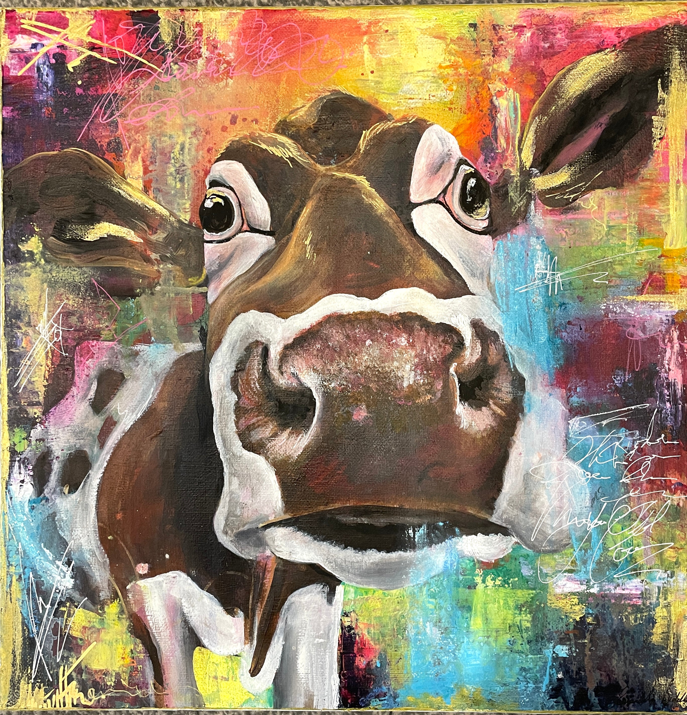 Curious cow
