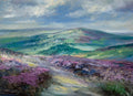 Patchwork Lights, Northumberland