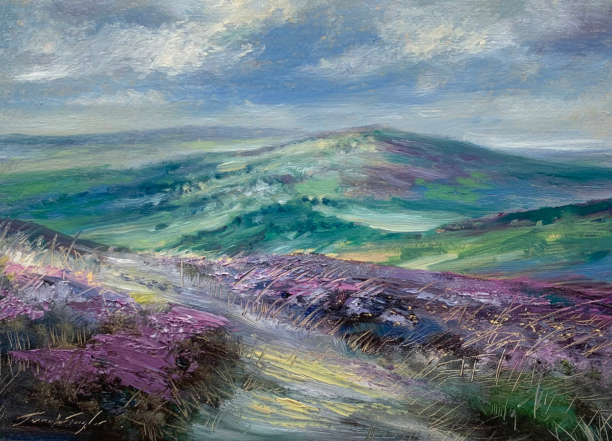 Patchwork Lights, Northumberland