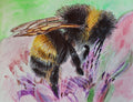 Bumblebee ballpoint pen drawing