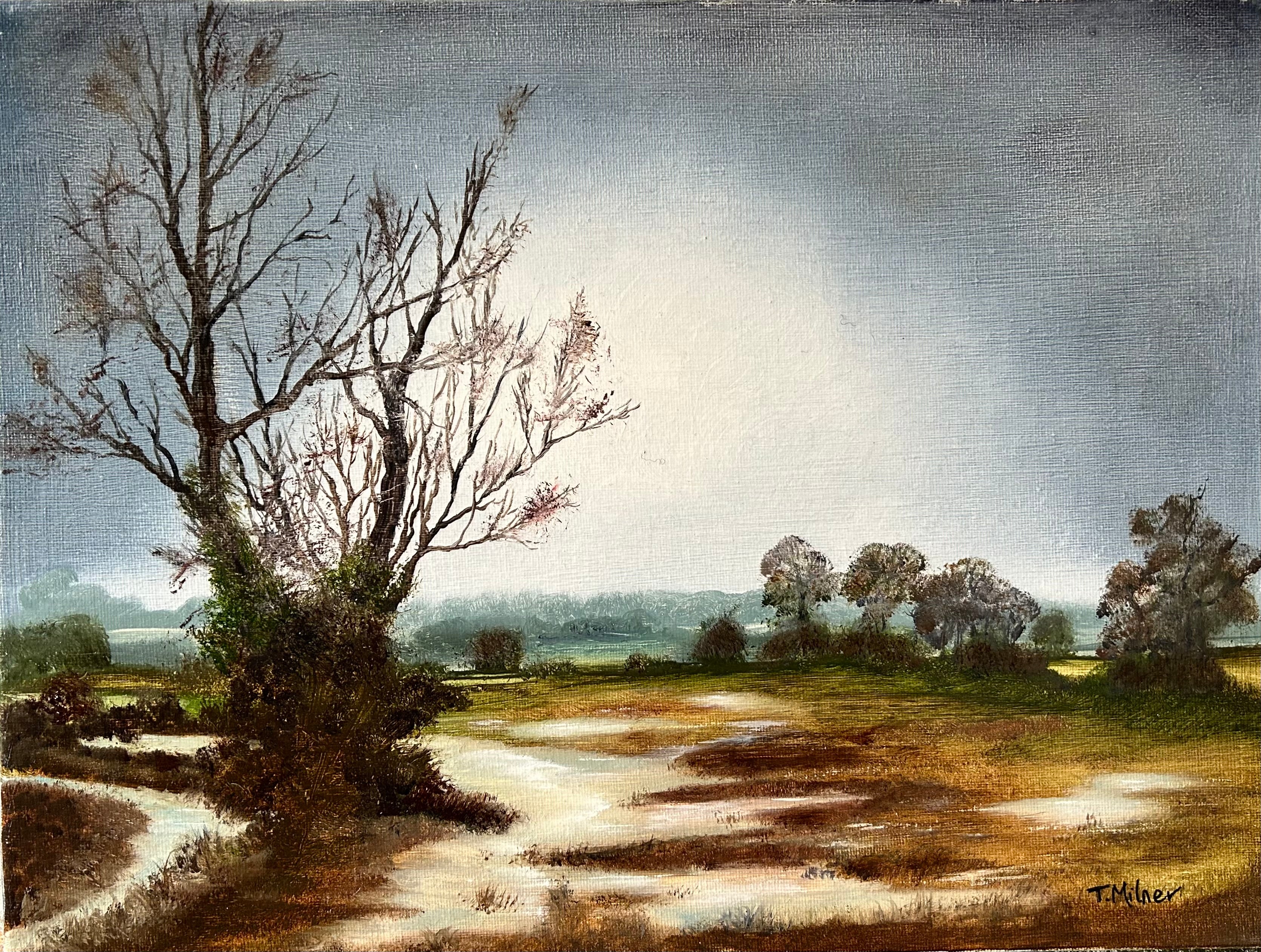 Floods near Flatford