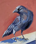 Raven. Bird.