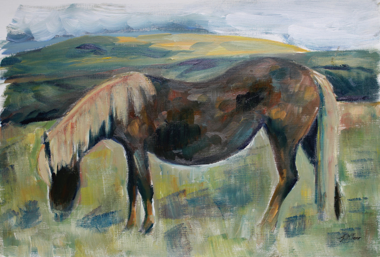 Dartmoor Pony