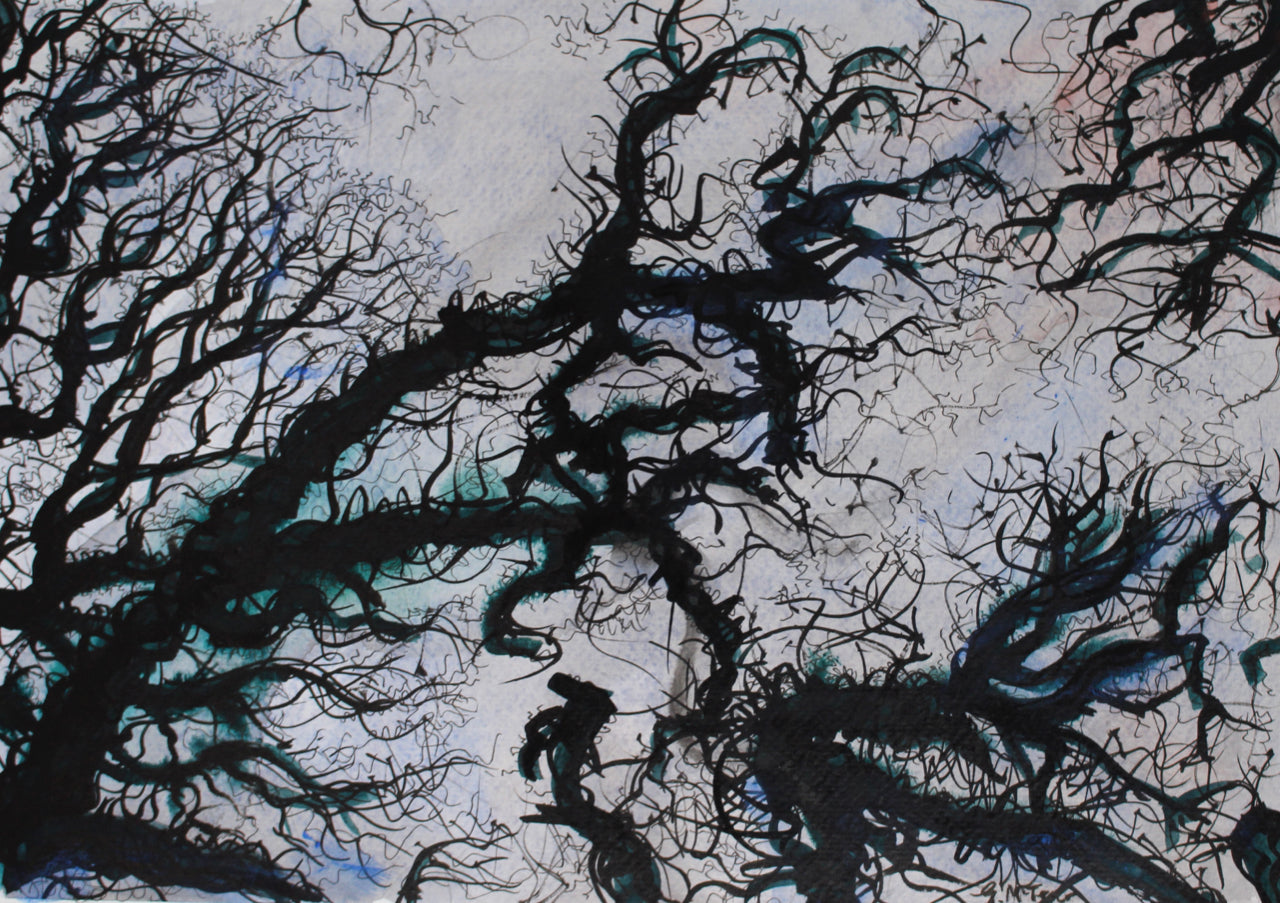 Canopy