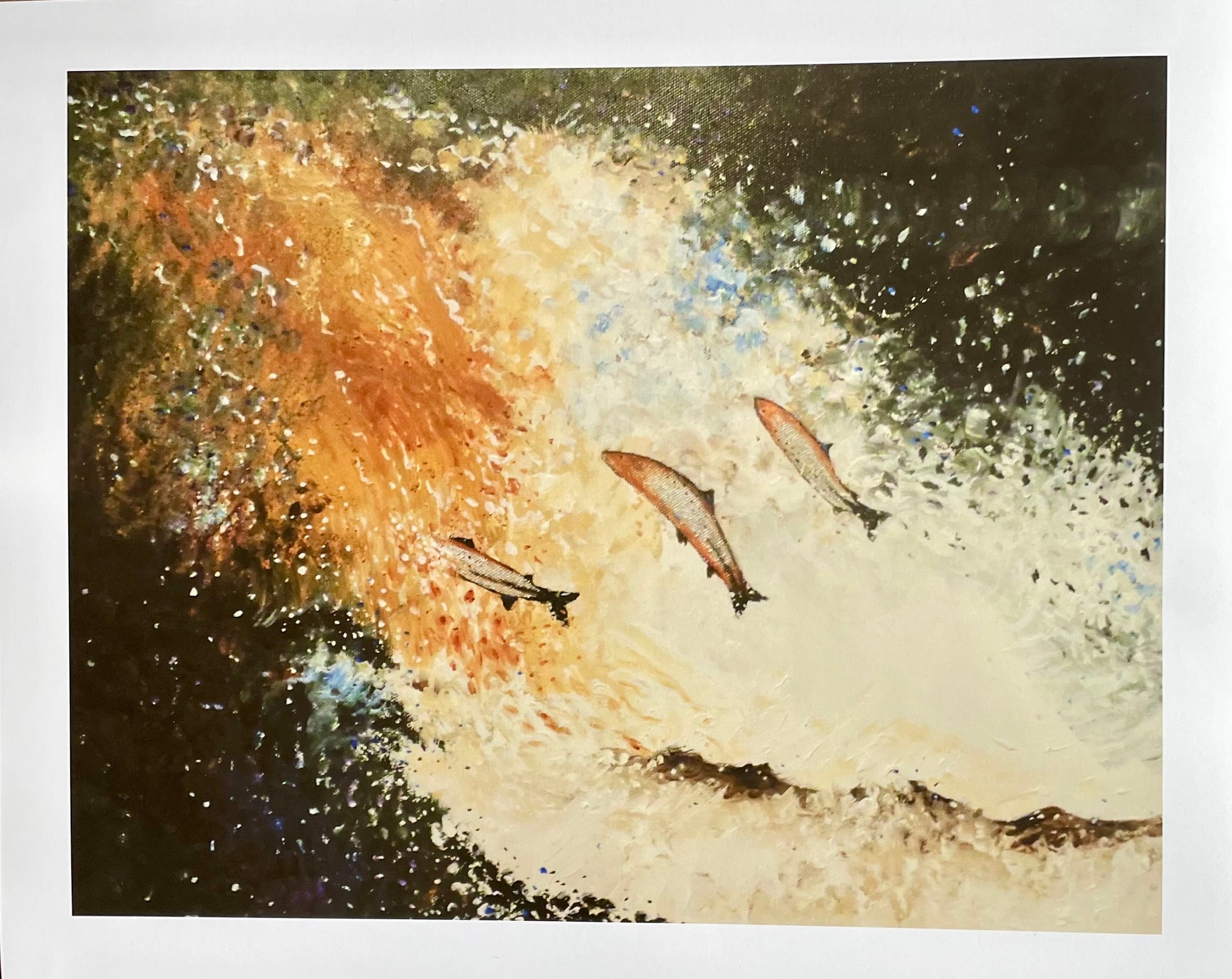 Salmon Jumping