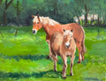 Horses in a meadow