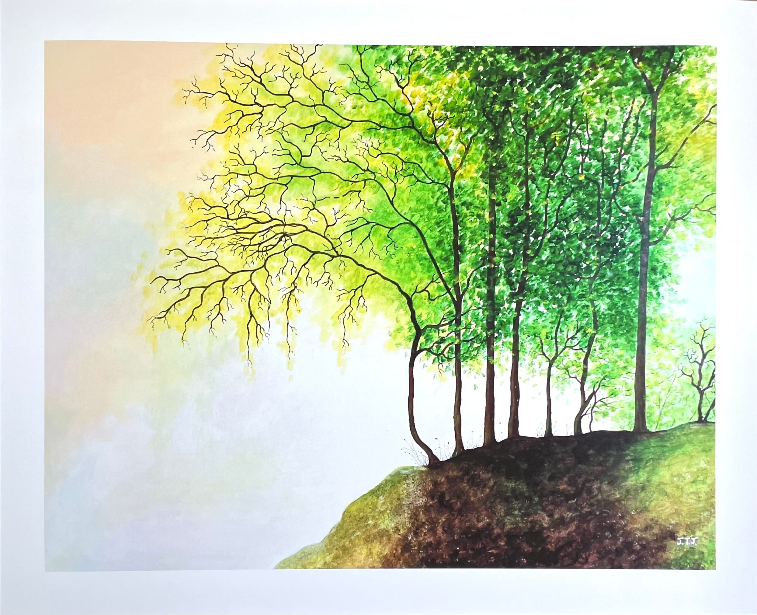 Where hope revives