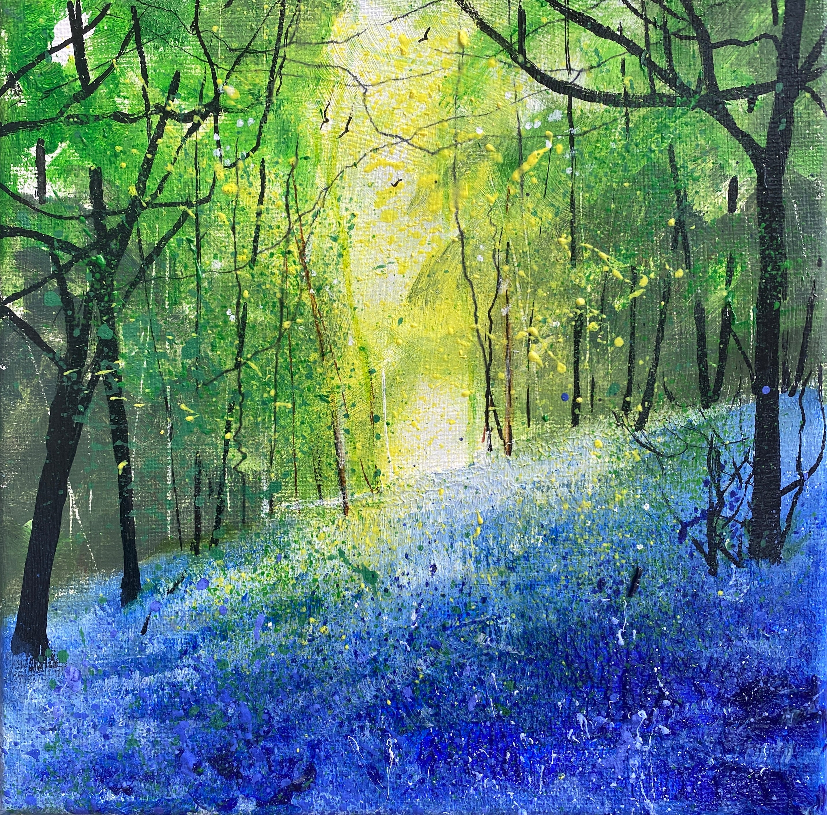 Early Spring, Bluebell Woodland