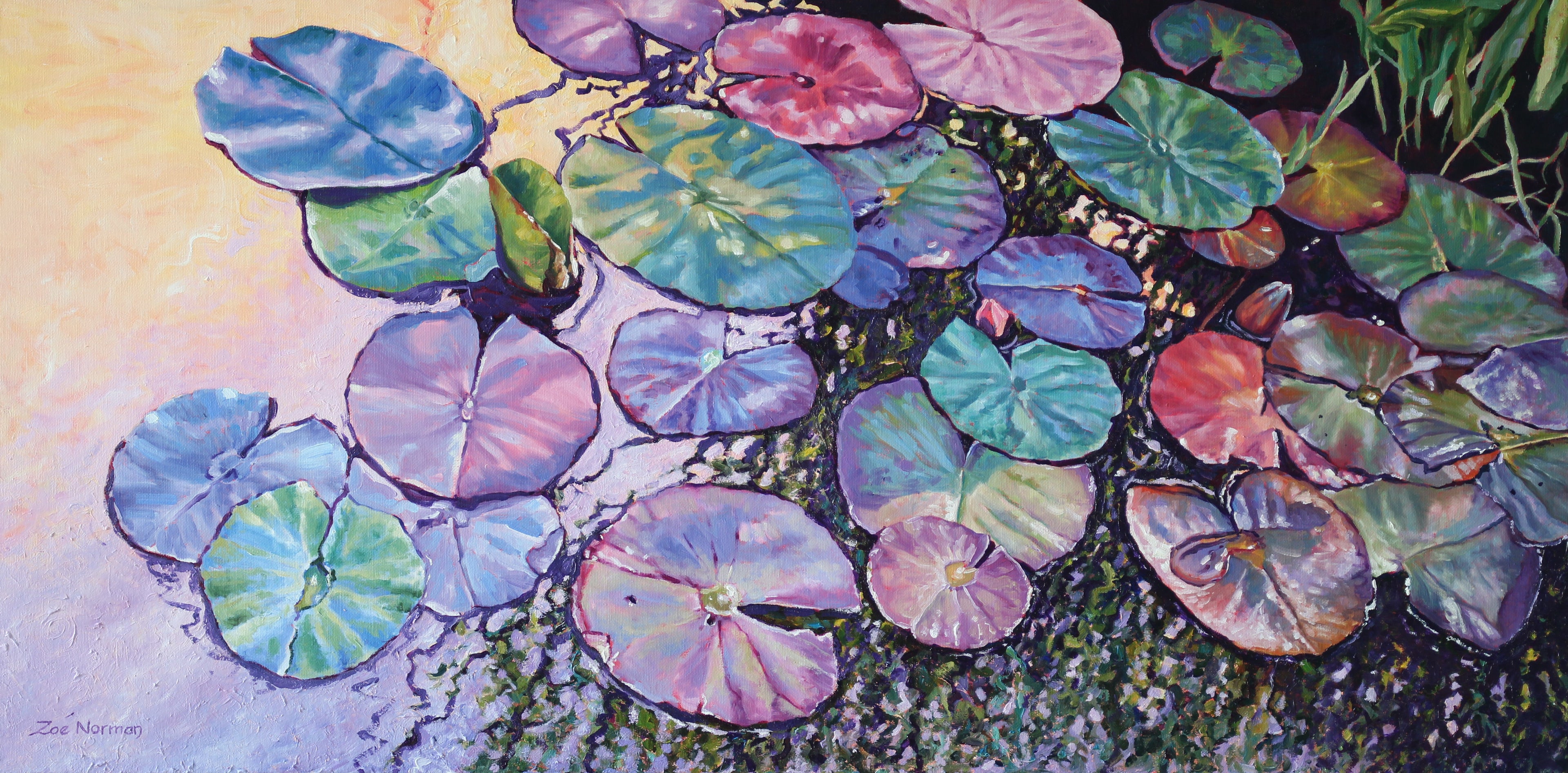 Apricot Pond