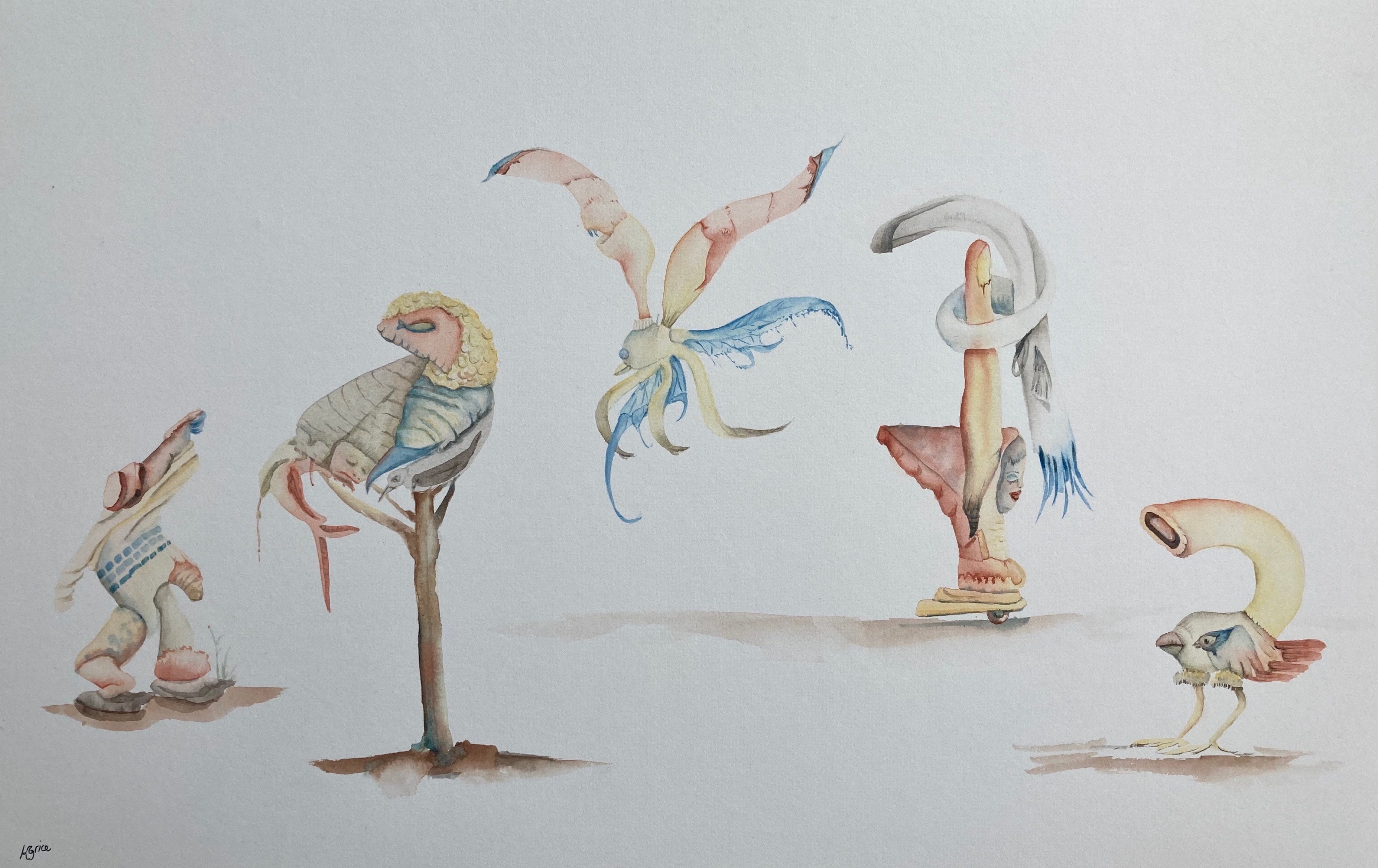 Menageries Extremes