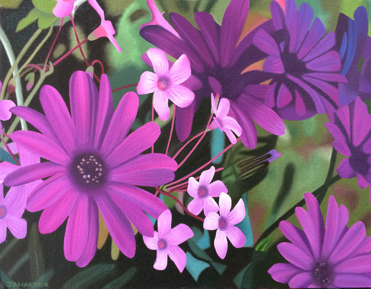 Purple Meadow