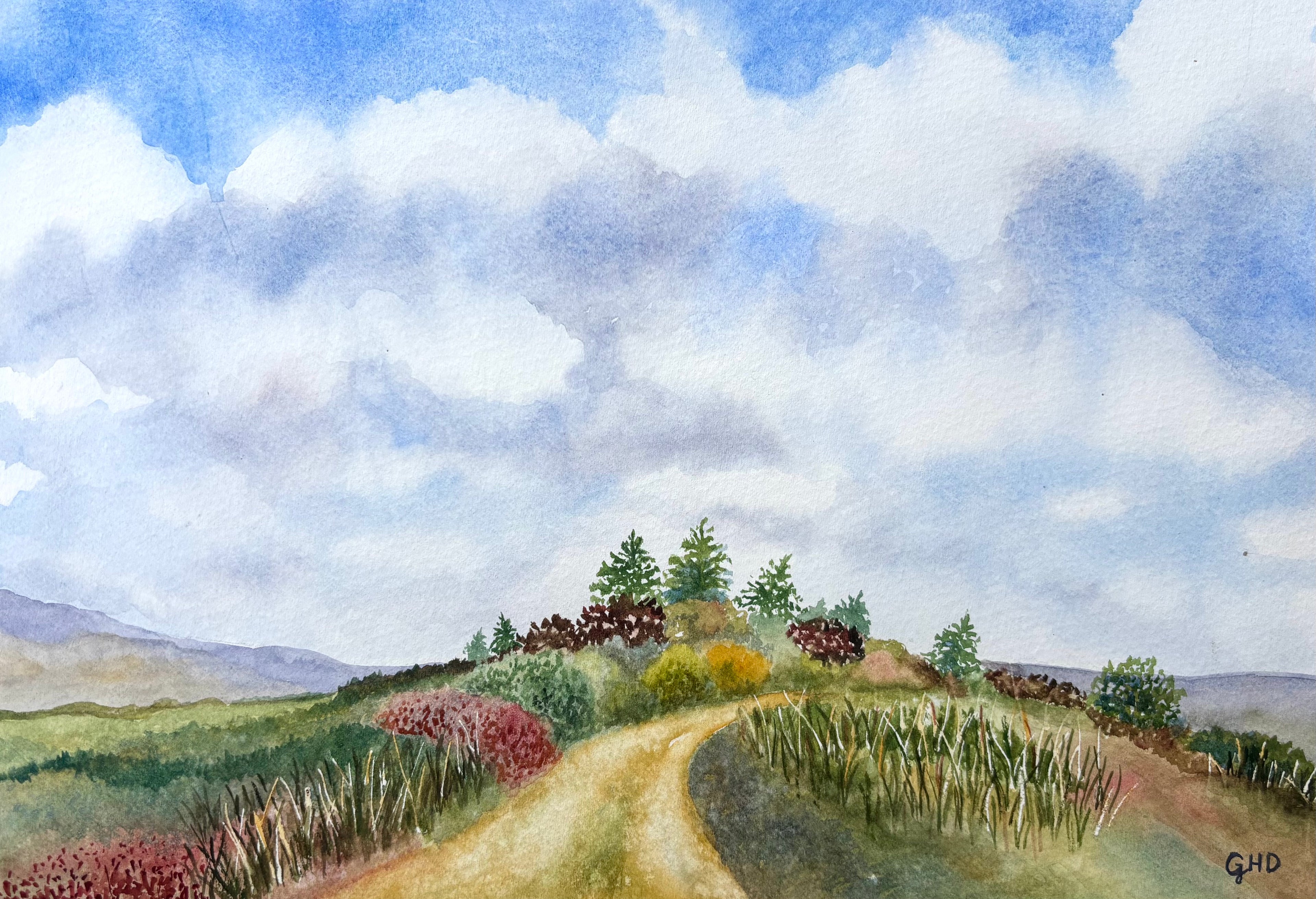 THE COPSE