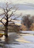 Lake Side