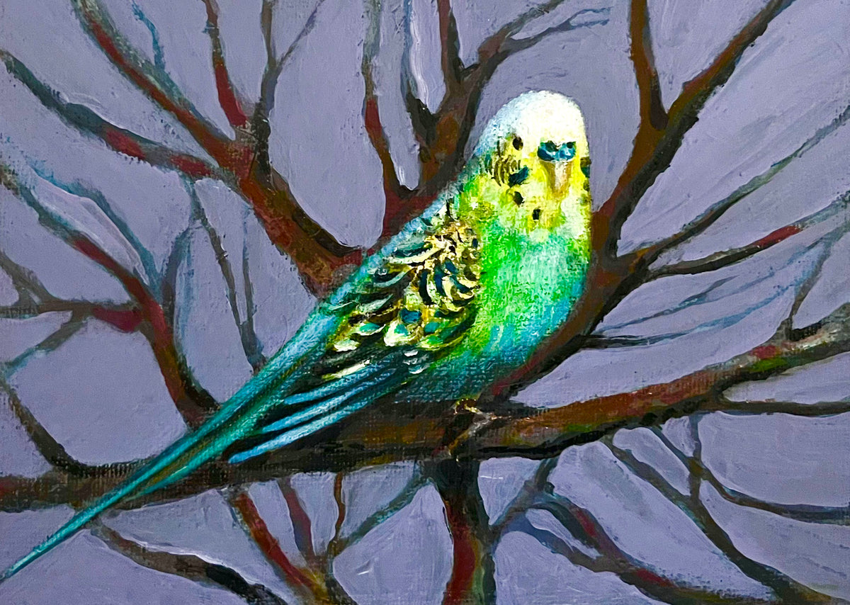 Budgerigar in it’s natural habitat
