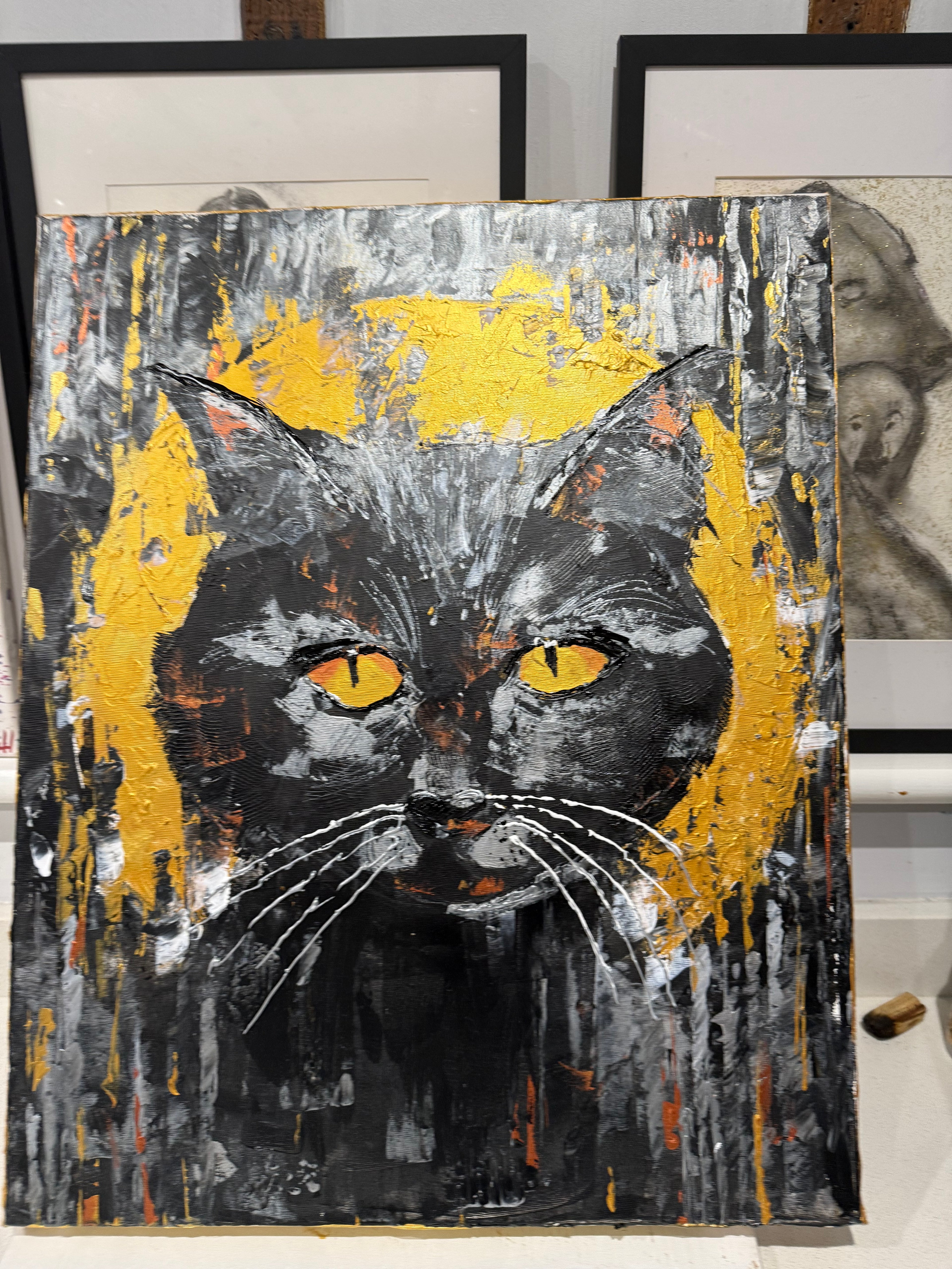 Magical cat