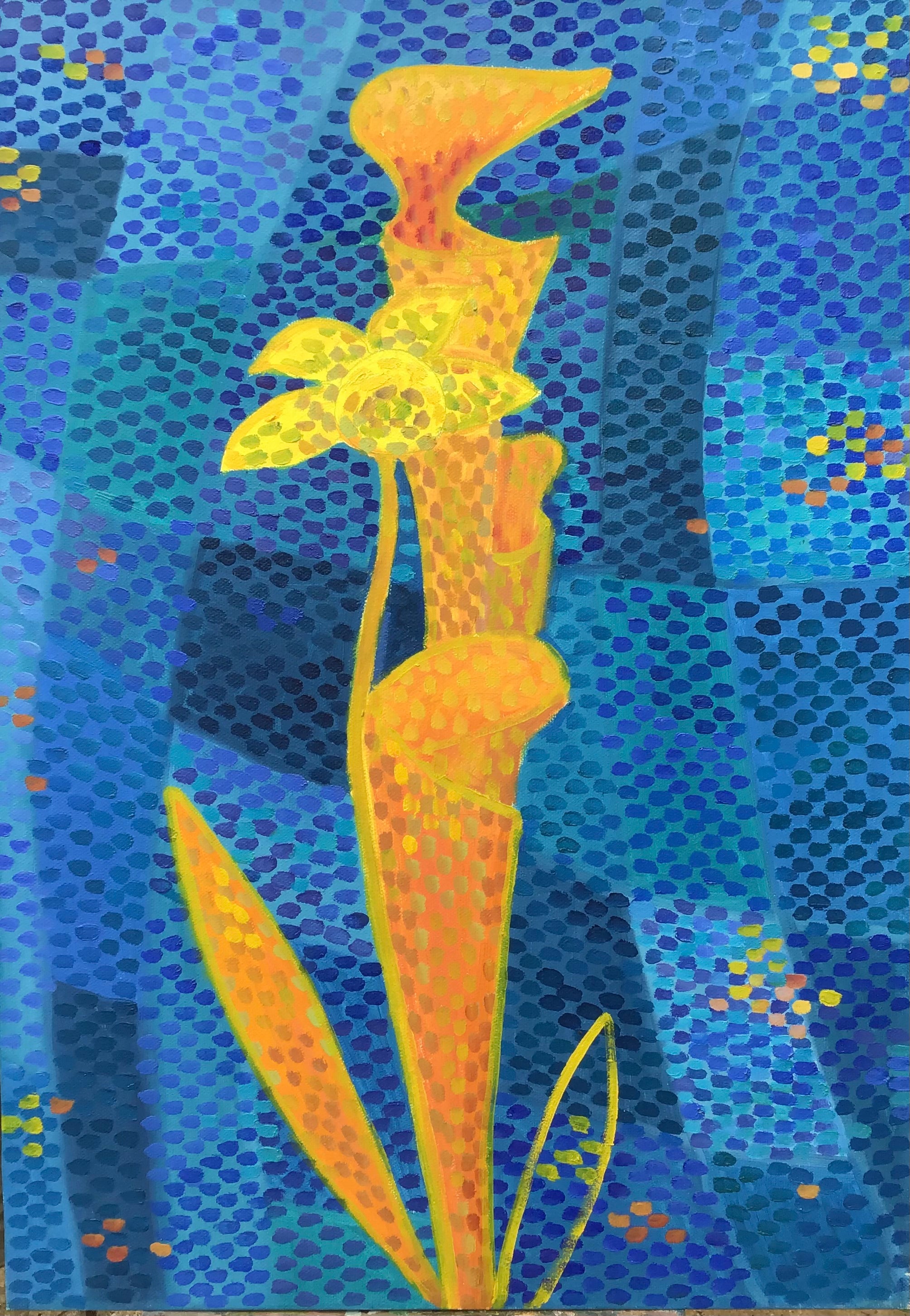 “Blue and yellow”