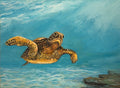 Turtle