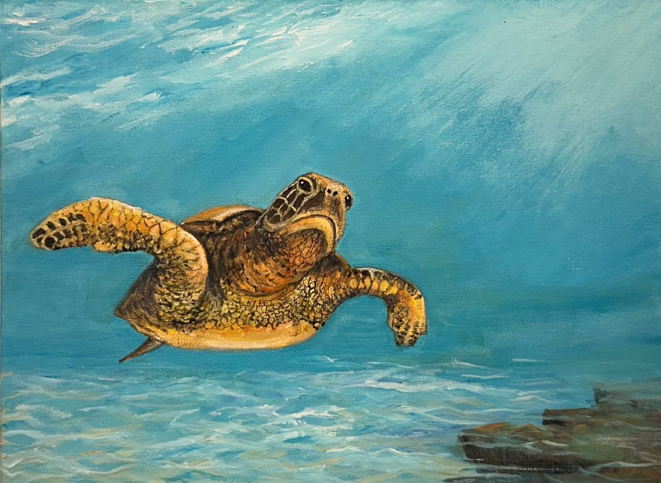 Turtle