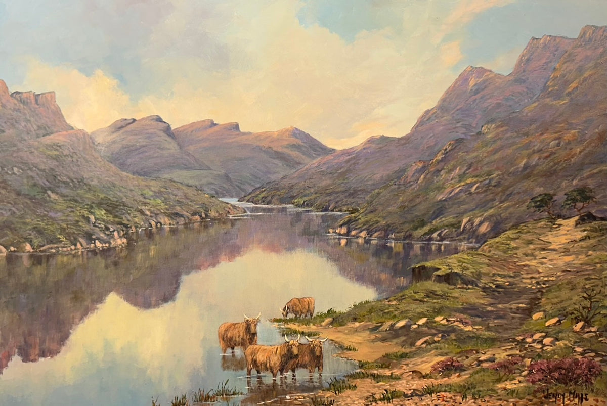 Highland Cows