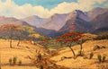 Msasatrees (Rhodesia)