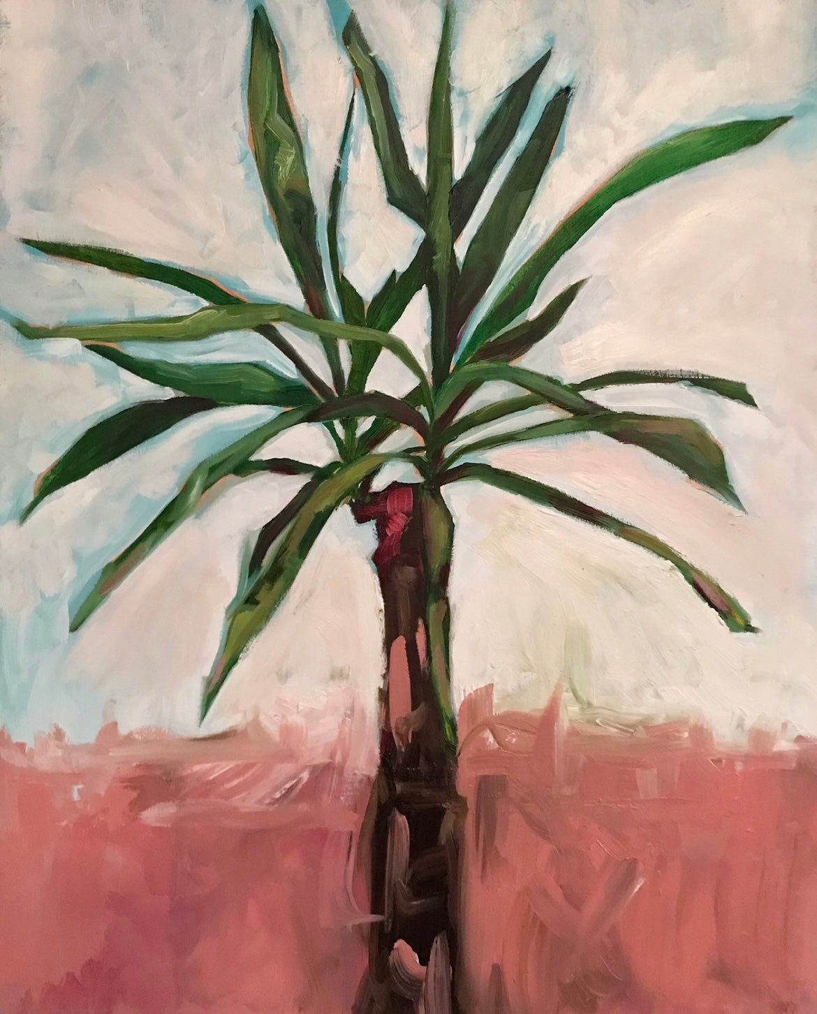 Yucca