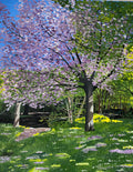 CHERRY TREE IN FULL BLOOM
