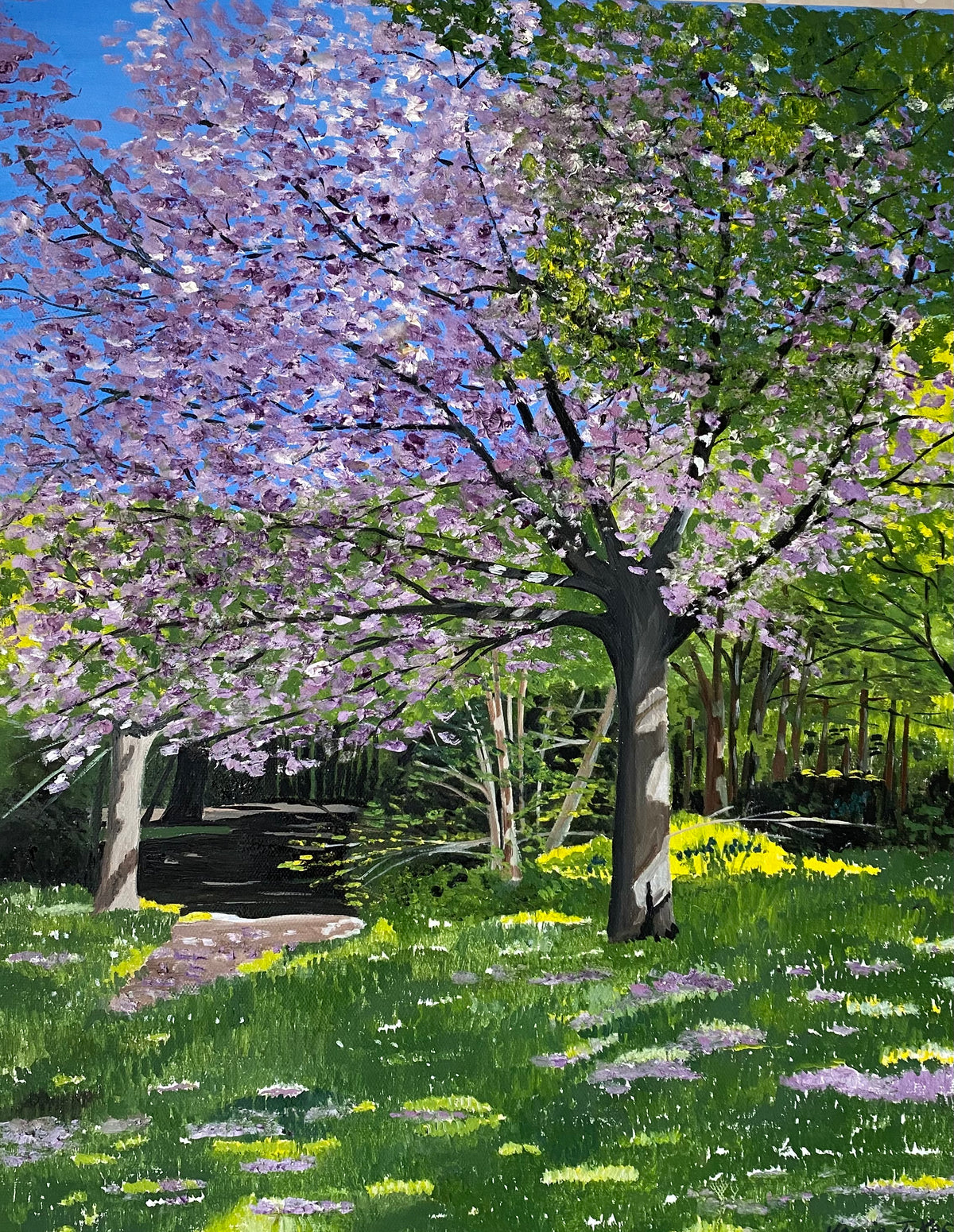 CHERRY TREE IN FULL BLOOM