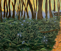 Bluebells at dusk