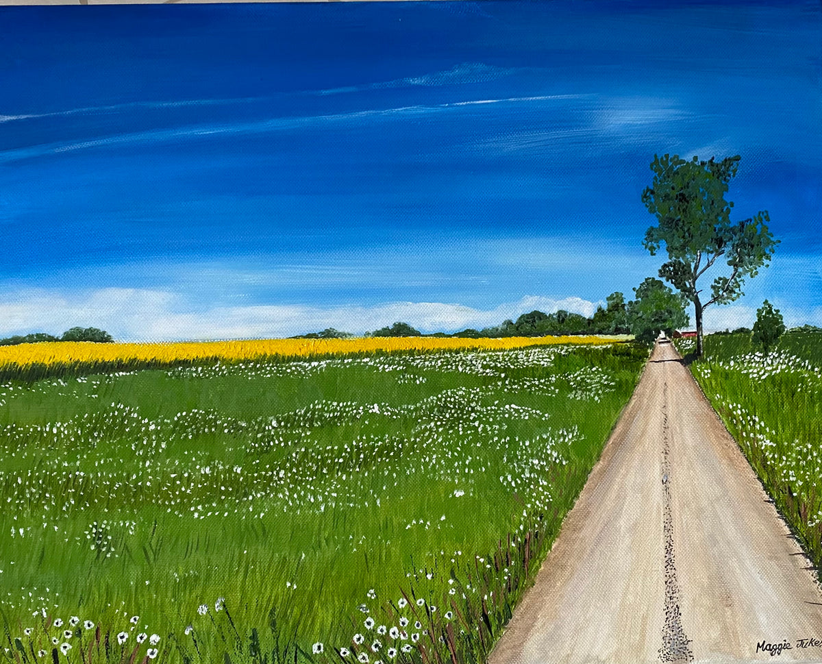 THE LONG ROAD