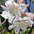 Rododendron Blossom