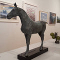 Anatomical study of the horse