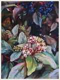 Blossom