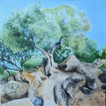 Olivo