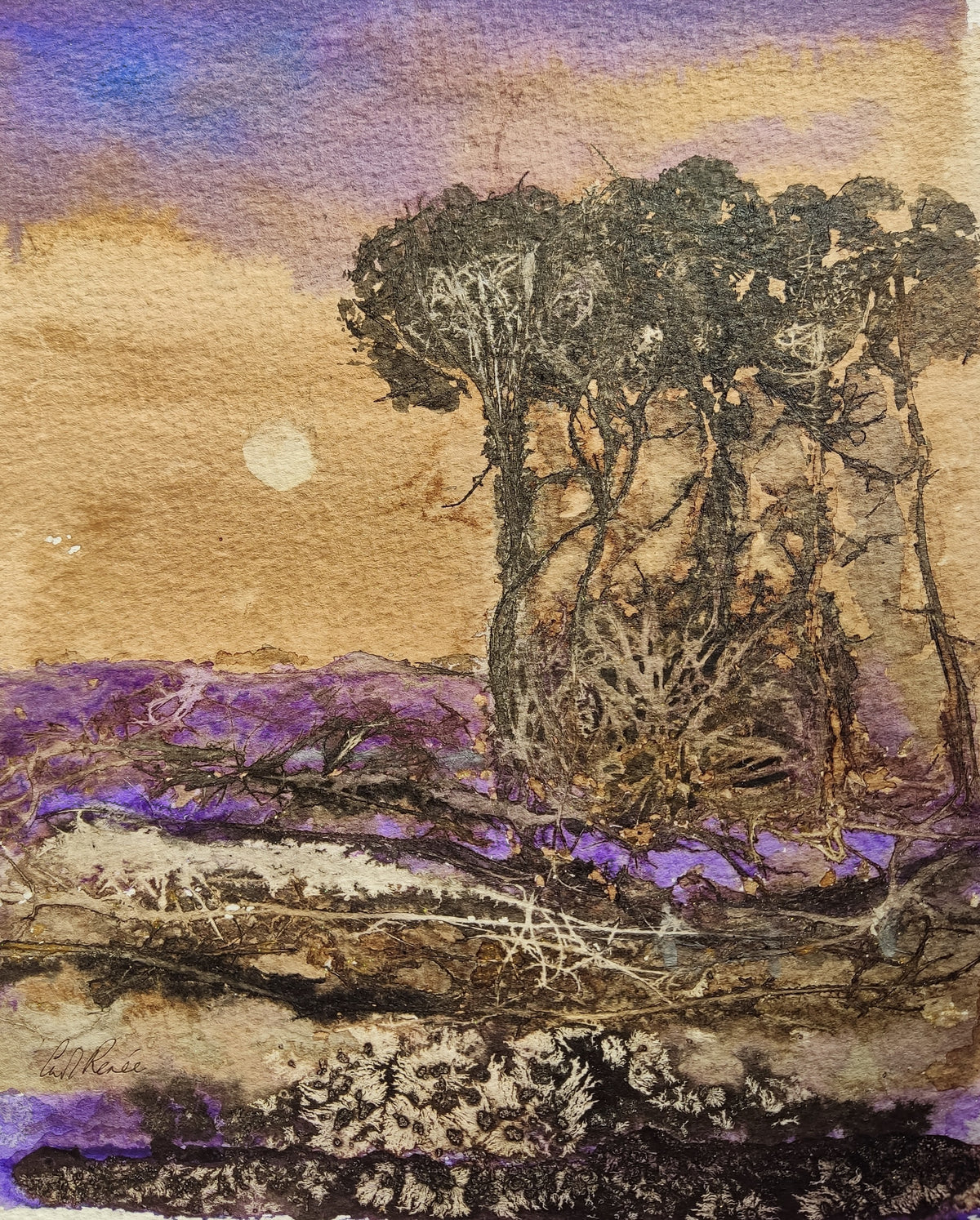 The Tangled Wood