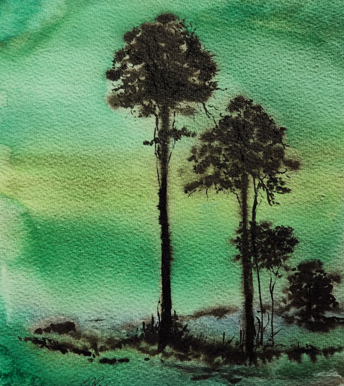 Evening Pines