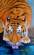 Amur tiger