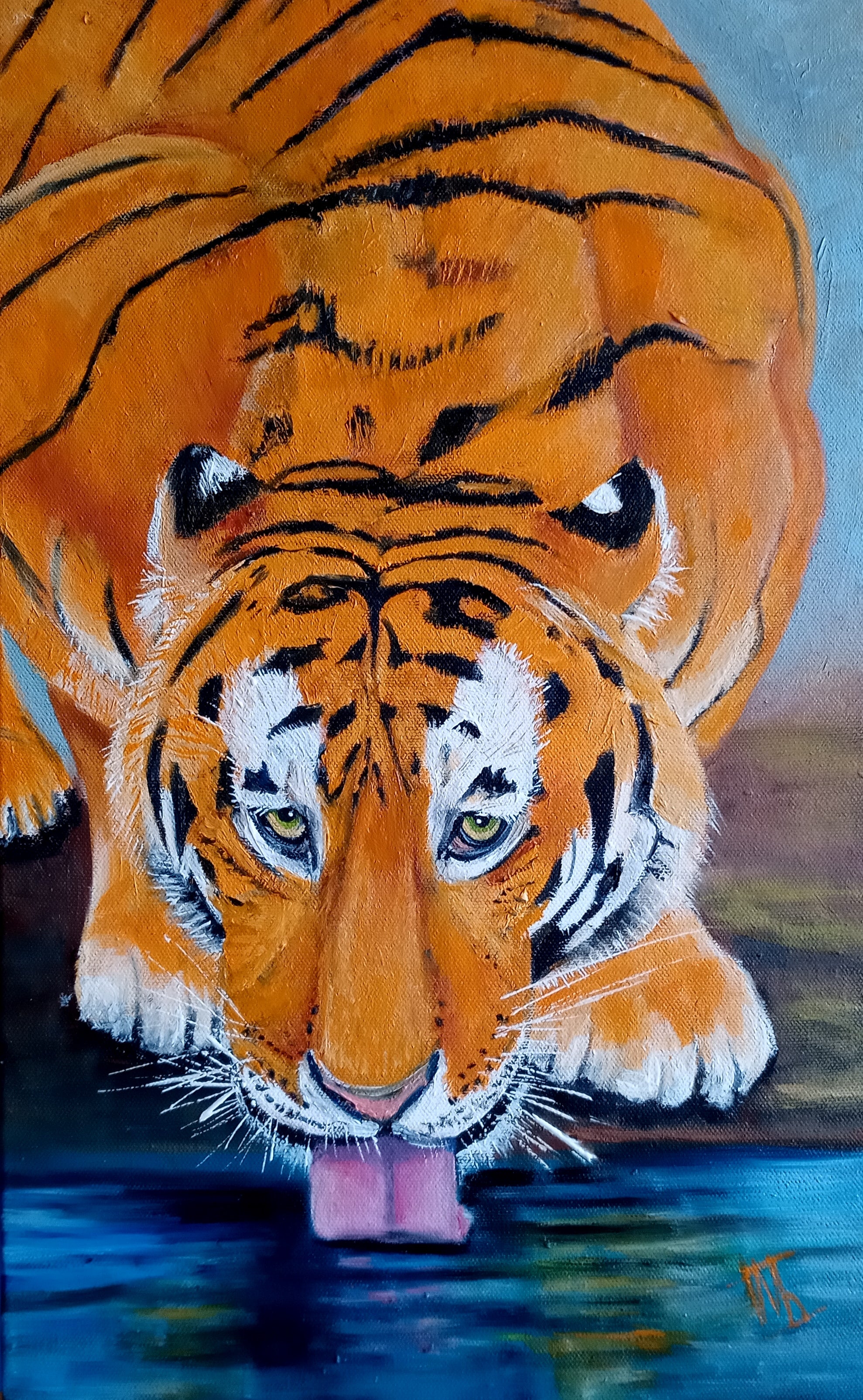 Amur tiger