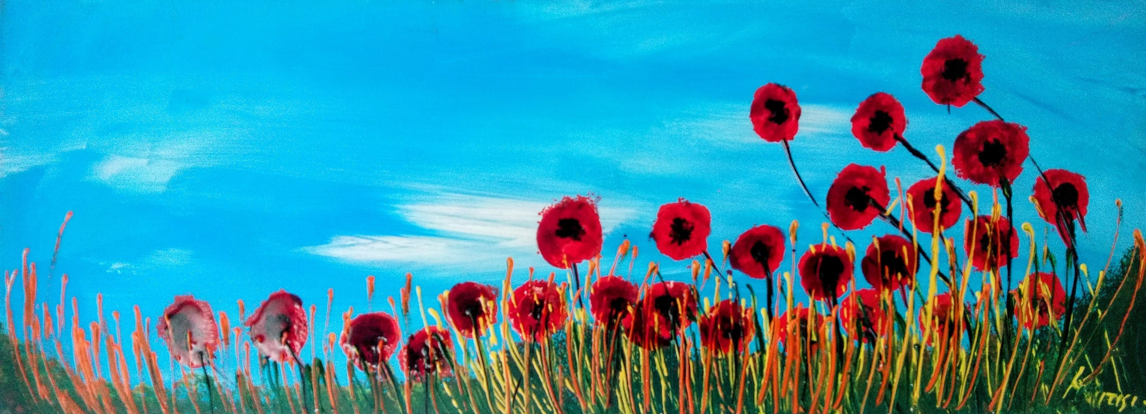 Lovely poppies