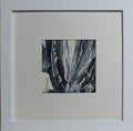 'Salmon and Waterfall'