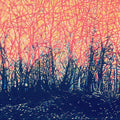 The Forest in Flames